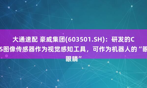 大通速配 豪威集团(603501.SH)：研发的CMOS图像传感器作为视觉感知工具，可作为机器人的“眼睛”