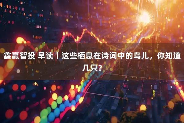 鑫赢智投 早读丨这些栖息在诗词中的鸟儿，你知道几只？