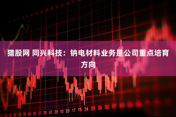 猎股网 同兴科技：钠电材料业务是公司重点培育方向