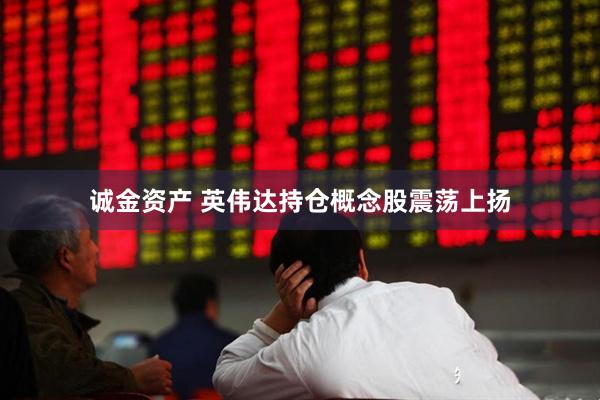 诚金资产 英伟达持仓概念股震荡上扬